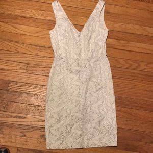 Beautiful white and silver dress!